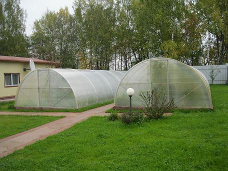 2 - Без теплиц в таком хозяйстве никак не обойтись.JPG